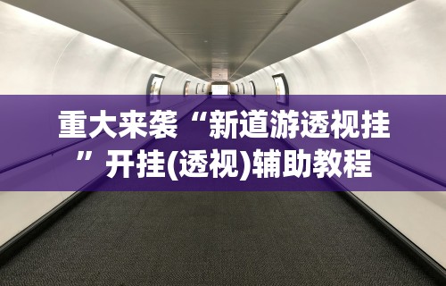 重大来袭“新道游透视挂”开挂(透视)辅助教程