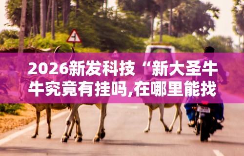 2026新发科技“新大圣牛牛究竟有挂吗,在哪里能找到	”其实确实有挂