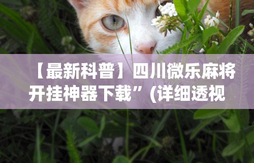 【最新科普】四川微乐麻将开挂神器下载”(详细透视教程)-知乎