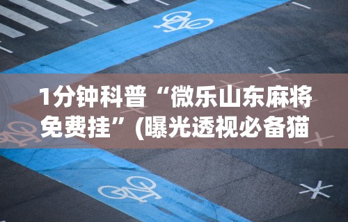 1分钟科普“微乐山东麻将免费挂”(曝光透视必备猫腻)