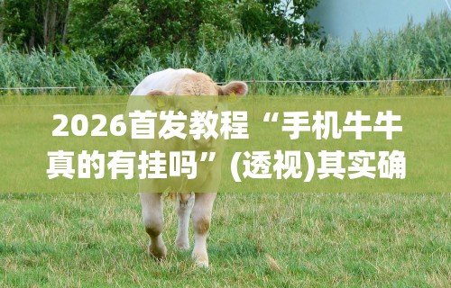 2026首发教程“手机牛牛真的有挂吗”(透视)其实确实有挂
