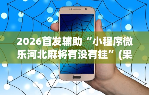 2026首发辅助“小程序微乐河北麻将有没有挂”(果然有透视挂)
