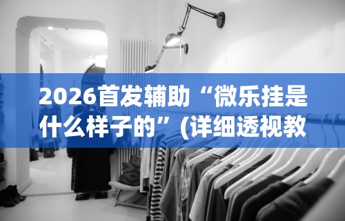 2026首发辅助“微乐挂是什么样子的	”(详细透视教程)