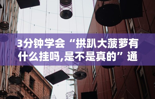 3分钟学会“拱趴大菠萝有什么挂吗,是不是真的	”通用版下载教程！