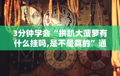 3分钟学会“拱趴大菠萝有什么挂吗,是不是真的”通用版下载教程！