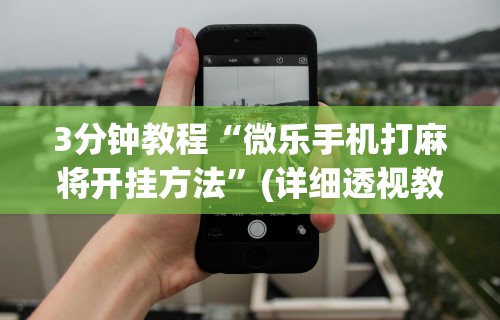 3分钟教程“微乐手机打麻将开挂方法”(详细透视教程)