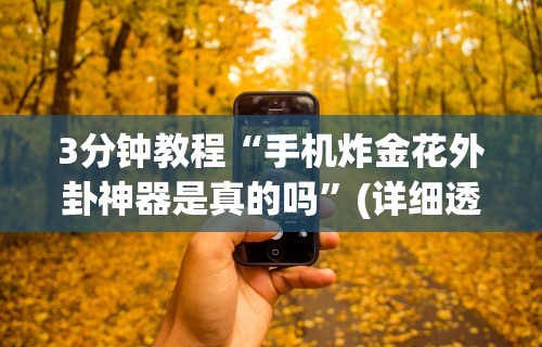 3分钟教程“手机炸金花外卦神器是真的吗”(详细透视教程)