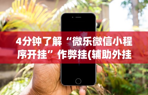 4分钟了解“微乐微信小程序开挂	”作弊挂(辅助外挂+