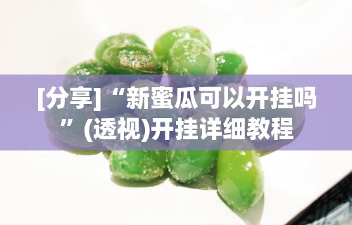[分享]“新蜜瓜可以开挂吗	”(透视)开挂详细教程