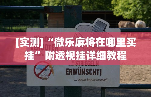 [实测]“微乐麻将在哪里买挂”附透视挂详细教程