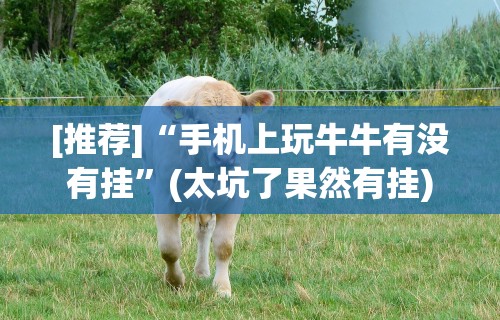 [推荐]“手机上玩牛牛有没有挂”(太坑了果然有挂)