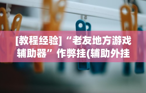 [教程经验]“老友地方游戏辅助器”作弊挂(辅助外挂+