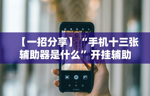 【一招分享】“手机十三张辅助器是什么”开挂辅助详细步骤