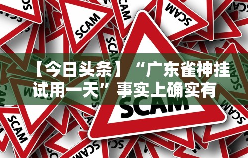 【今日头条】“广东雀神挂试用一天”事实上确实有挂