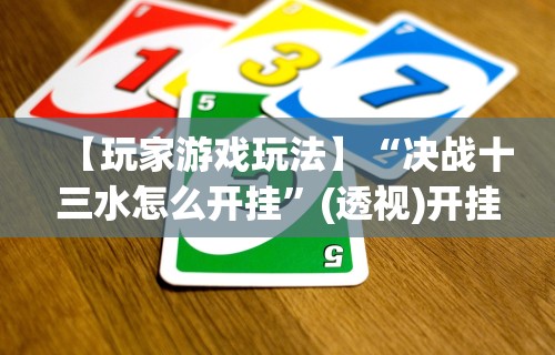 【玩家游戏玩法】“决战十三水怎么开挂”(透视)开挂详细教程