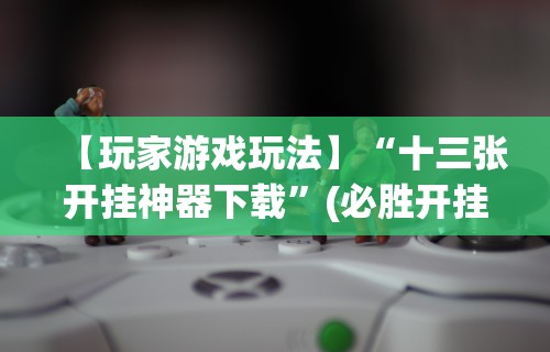 【玩家游戏玩法】“十三张开挂神器下载”(必胜开挂神器)