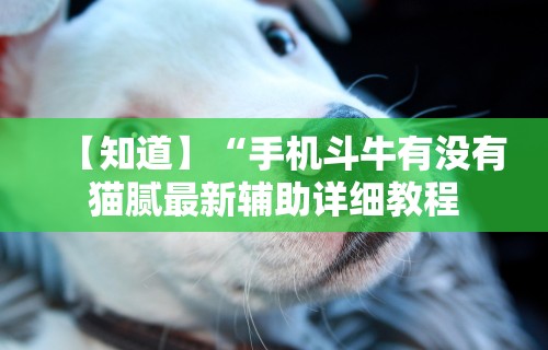 【知道】“手机斗牛有没有猫腻最新辅助详细教程 【知道】“手机斗牛有没有猫腻最新辅助详细教程