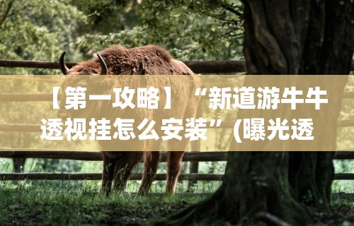 【第一攻略】“新道游牛牛透视挂怎么安装”(曝光透视必备猫腻)