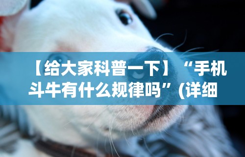 【给大家科普一下】“手机斗牛有什么规律吗”(详细透视教程)-知乎