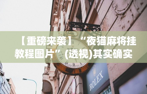 【重磅来袭】“夜猫麻将挂教程图片”(透视)其实确实有挂