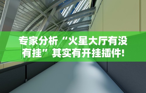 专家分析“火星大厅有没有挂	”其实有开挂插件!