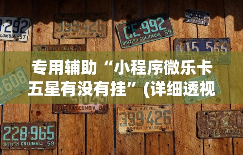 专用辅助“小程序微乐卡五星有没有挂	”(详细透视教程)