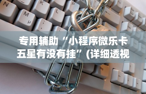 专用辅助“小程序微乐卡五星有没有挂”(详细透视教程)