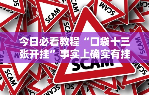 今日必看教程“口袋十三张开挂”事实上确实有挂