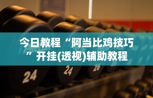 今日教程“阿当比鸡技巧”开挂(透视)辅助教程