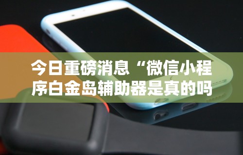 今日重磅消息“微信小程序白金岛辅助器是真的吗”真实开挂技巧分享
