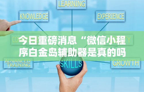 今日重磅消息“微信小程序白金岛辅助器是真的吗”真实开挂技巧分享
