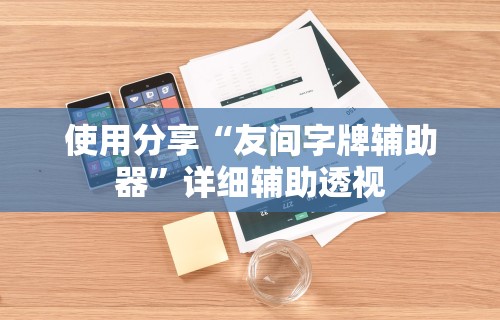 使用分享“友间字牌辅助器”详细辅助透视