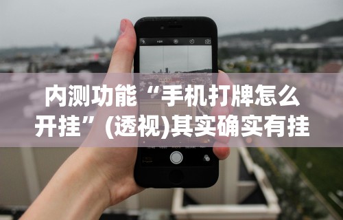 内测功能“手机打牌怎么开挂”(透视)其实确实有挂