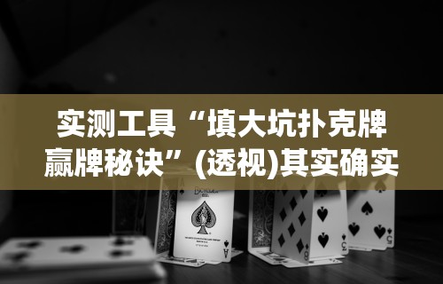 实测工具“填大坑扑克牌赢牌秘诀	”(透视)其实确实有挂