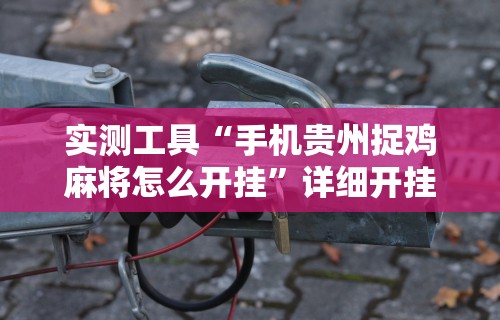 实测工具“手机贵州捉鸡麻将怎么开挂	”详细开挂教程