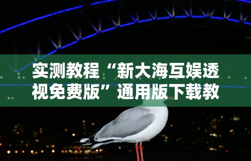 实测教程“新大海互娱透视免费版”通用版下载教程