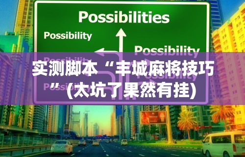 实测脚本“丰城麻将技巧”(太坑了果然有挂)