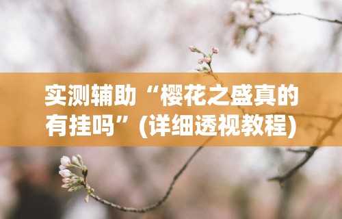 实测辅助“樱花之盛真的有挂吗	”(详细透视教程)