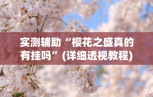 实测辅助“樱花之盛真的有挂吗”(详细透视教程)