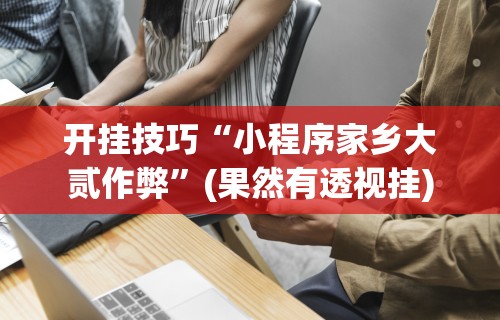 开挂技巧“小程序家乡大贰作弊”(果然有透视挂)