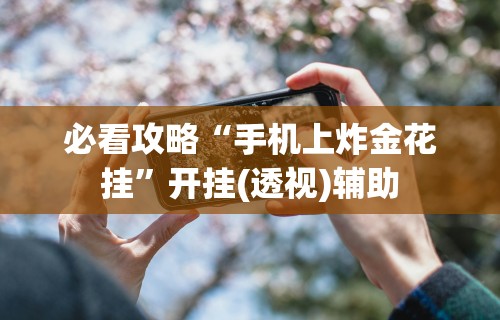 必看攻略“手机上炸金花挂”开挂(透视)辅助
