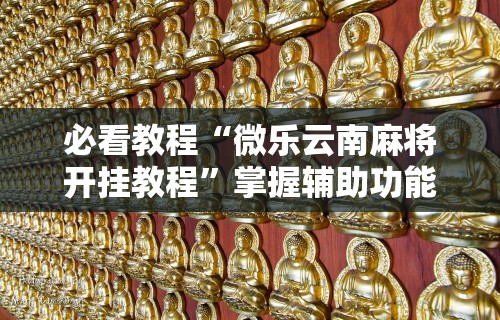 必看教程“微乐云南麻将开挂教程”掌握辅助功能必胜规则