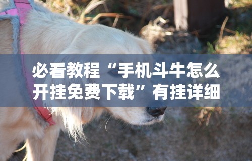 必看教程“手机斗牛怎么开挂免费下载	”有挂详细开挂教程