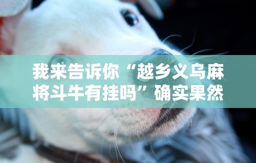 我来告诉你“越乡义乌麻将斗牛有挂吗	”确实果然有挂