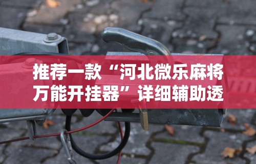 推荐一款“河北微乐麻将万能开挂器”详细辅助透视