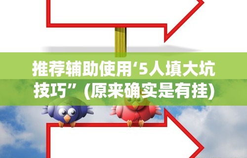 推荐辅助使用‘5人填大坑技巧”(原来确实是有挂)