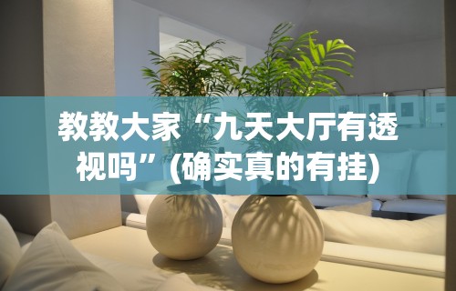 教教大家“九天大厅有透视吗	”(确实真的有挂)