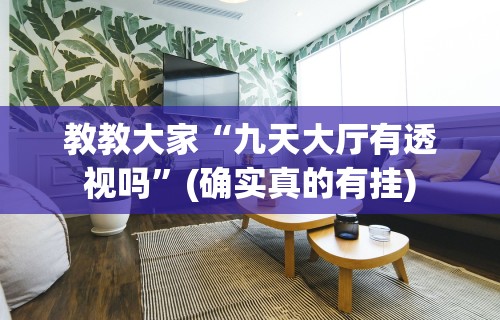 教教大家“九天大厅有透视吗”(确实真的有挂)