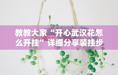 教教大家“开心武汉花怎么开挂”详细分享装挂步骤教程