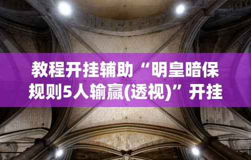 教程开挂辅助“明皇暗保规则5人输赢(透视)”开挂(透视)辅助教程
